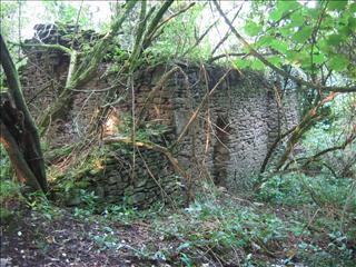 Ruin in Caudwell Wood