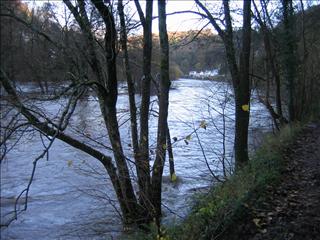 High river with Symonds Yat hotels in the distance