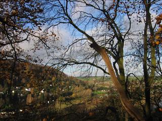Huntsham Hill lookign west