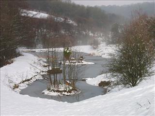 Frozen lake in Newland