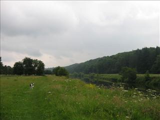 Long lush green wet grass at Hoarwithy