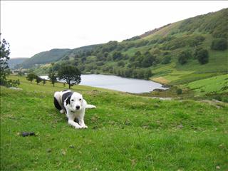 Cwmtittery Reservoir