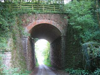Whitecliff bridge