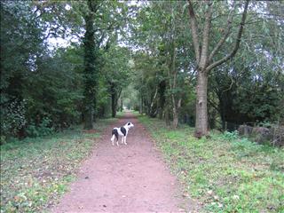 Coleford - Milkwall cycle path