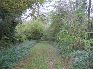 On the way north to Longhope