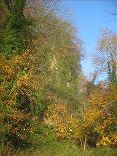 Cliff face by the Wye
