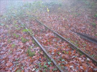 Rails at last