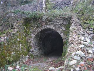 Tunnel under the track