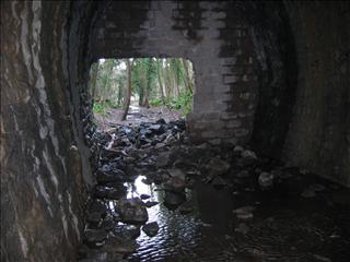 Coppet Hill Tunnel south. Pill box is in the shot.