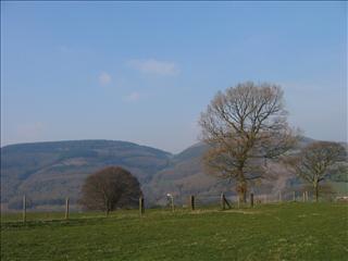 Looking at Twmbarlwm