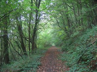 Redbrook to Wyesham stretch